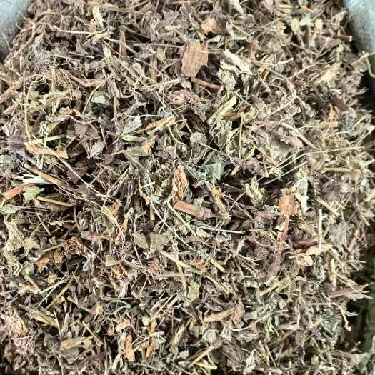 玉林仙鹤草仙鹤草茶新货中药材正品龙芽草脱力草狼牙草