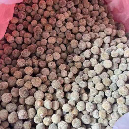 化州市正品正毛化橘红小胎珠广东省茂名市化州市 快递物流专线