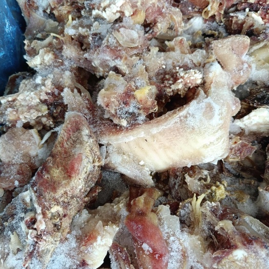 长沙亏本处理牛头拆骨肉五吨左右