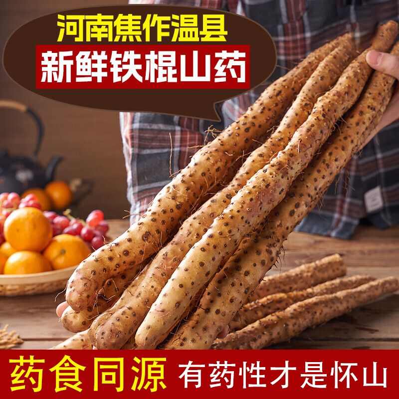 怀甄垆土山药2024鲜山药精选新淮山