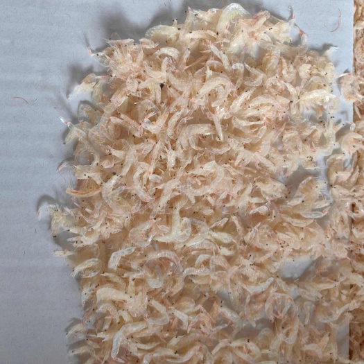 虾皮 盐干 淡干 各种规格型号虾皮