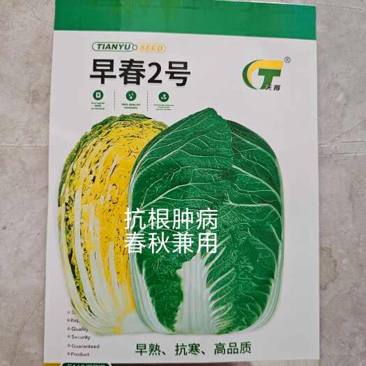 扶沟县早春2号白菜种子外叶浓绿内芯黄巴单球重6斤左右温度13度