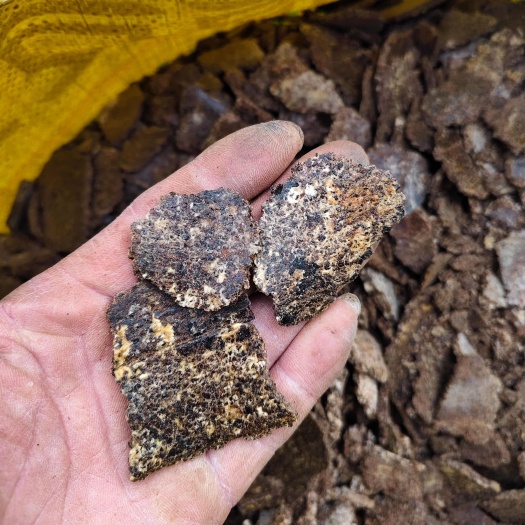 融安县大量供应优质纯桐麸