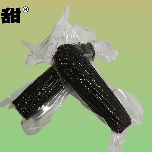 深圳黑晋真空东北黏玉米富含丰富花青素