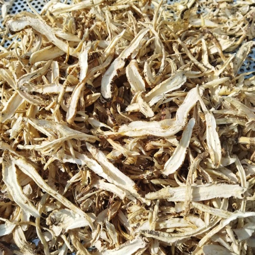 西和县桔梗斜切片，干个子