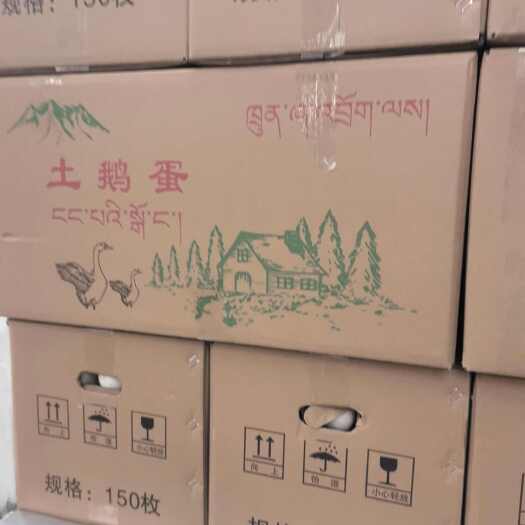四川绵阳春霞牧业土鹅蛋鲜货直达品质保障新鲜健康营养高蛋白美食