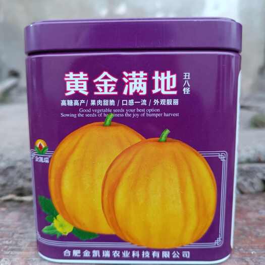 长沙县金凯瑞黄金满地丑八怪黄皮香瓜种子早熟薄皮肉绿白高糖肉甜脆