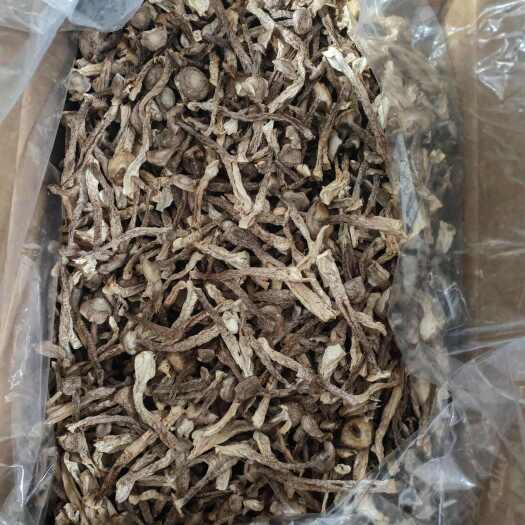 切根鹿茸菇产地一手货源 干度好 可视频看货 ，库房现货