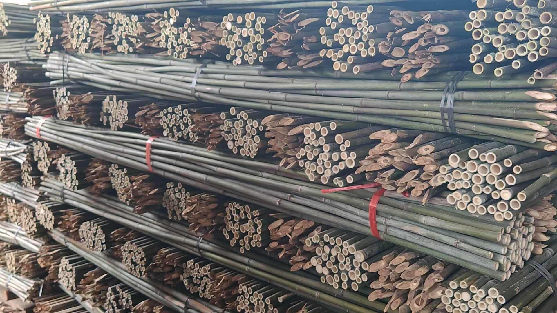菜架竹 竹竿 豆角架