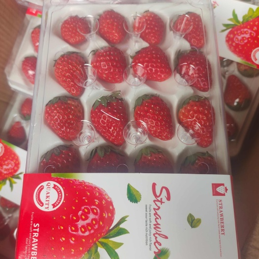 新鲜东莞草莓 甜嫩可口 浆果优选