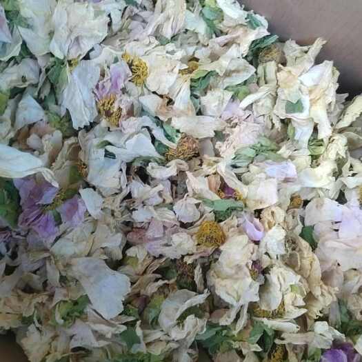 亳州茶花茶
