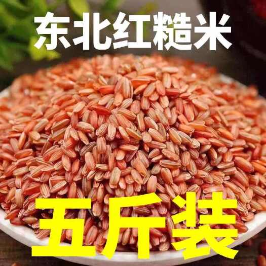 郑州5斤东北黑龙江农家自产红米杂粮粥红糙米特产红血稻米大米