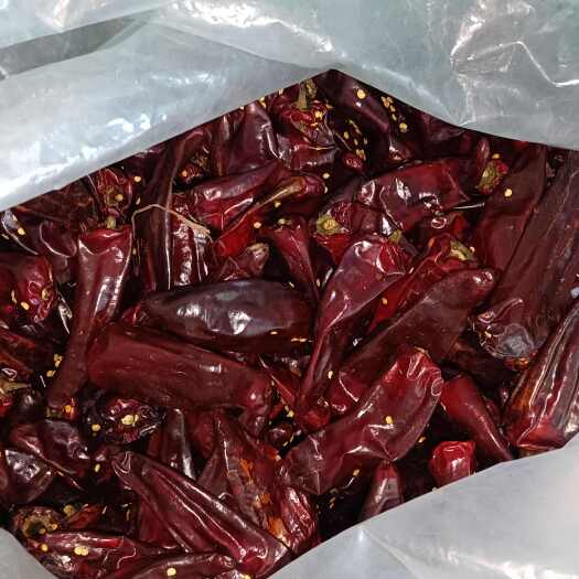 淄博金鼎干辣椒
