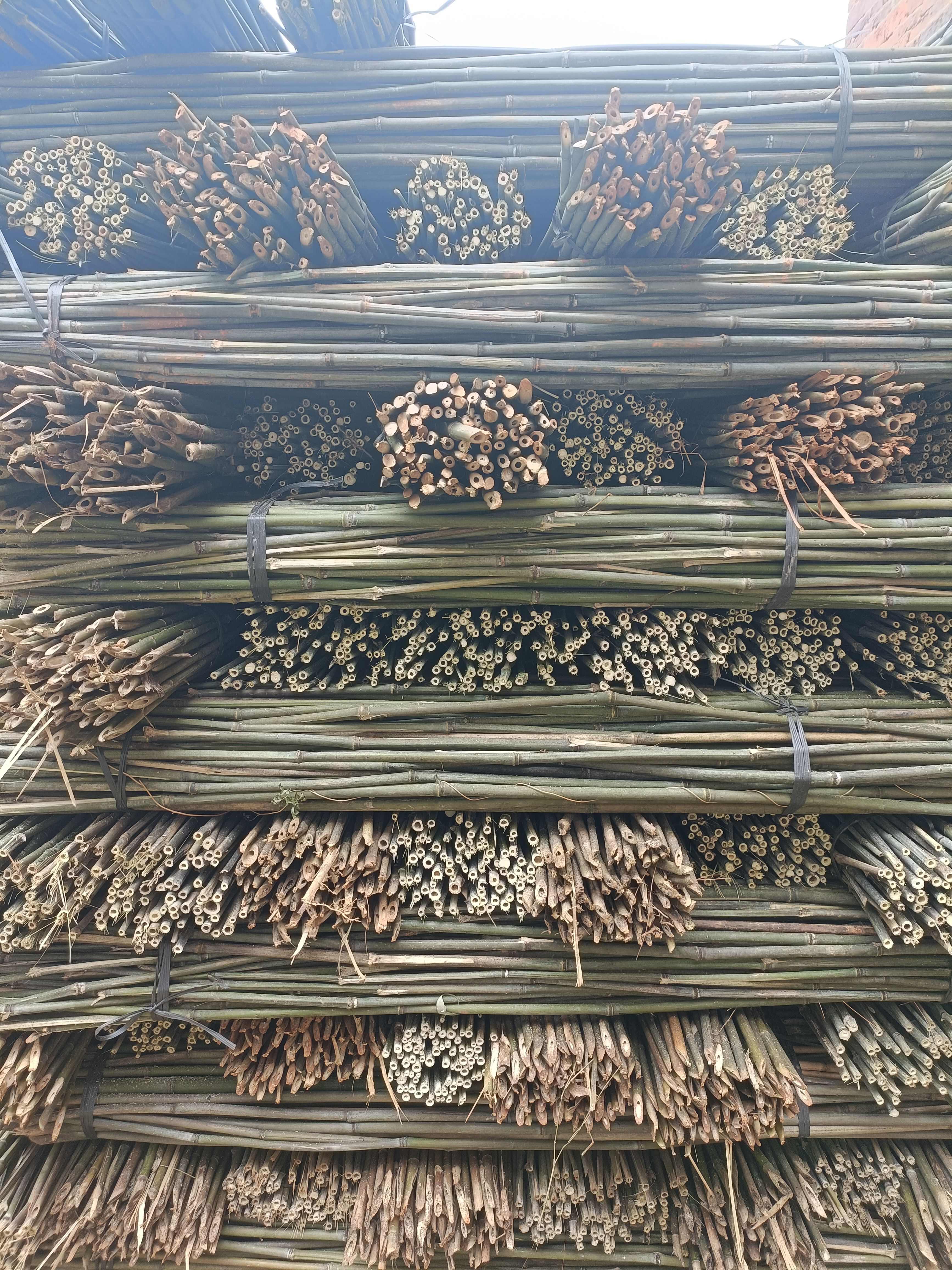 菜架竹 竹竿 豆角架