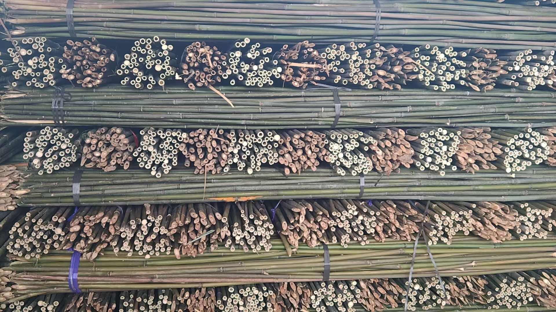 菜架竹 竹竿 豆角架