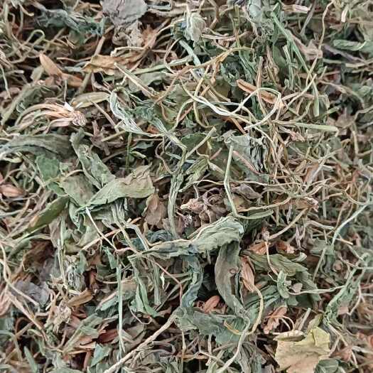 昆明紫花地丁可搭配多种中药一起批发