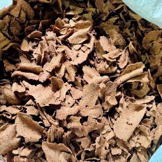 鹿寨县茶枯片  茶麸 茶籽粉  茶油渣   茶粕