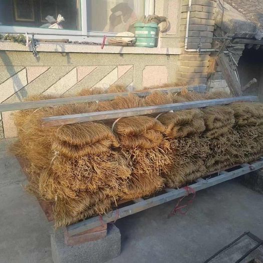 唐山河北唐山纯红薯粉条优质健康速食必备