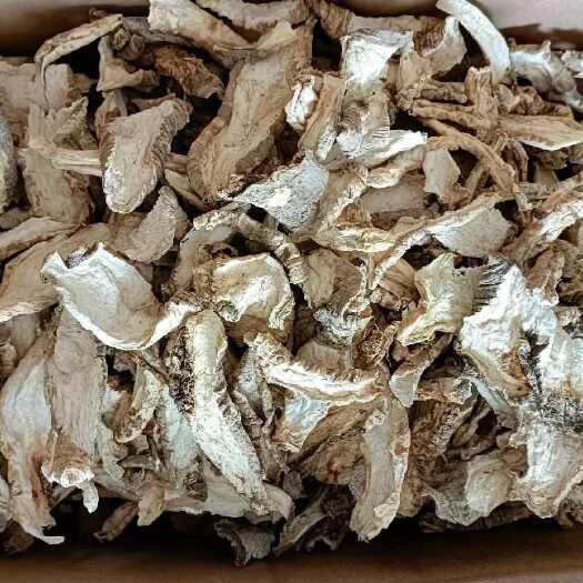 宽甸县山海螺片  四叶参片  白马肉片