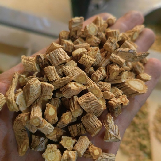 亳州防风段