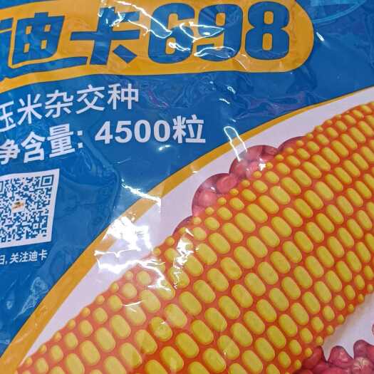商丘玉米种子迪卡698，金苑玉767，先达6111，京科836