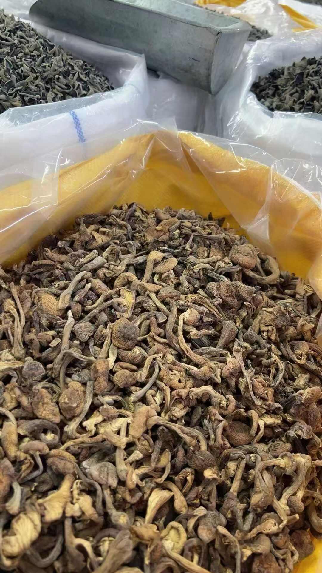 榛蘑大片的一斤58，榛蘑丁55，一件60斤，散發(fā)榛蘑丁78