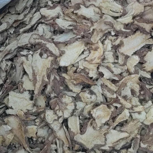 亳州独活片