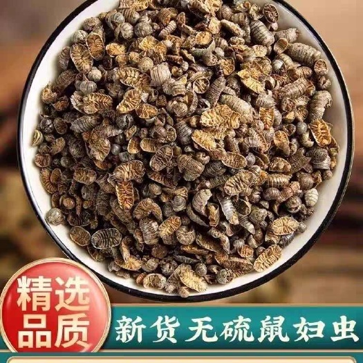 安国市鼠妇虫中药材鼠妇虫干货