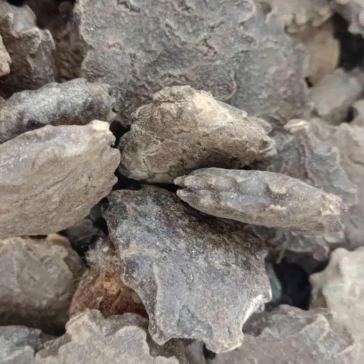 中药材木别子各种中药批发冷背药材，名贵药材，多种药材一起批发