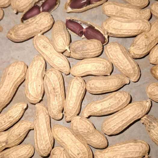 延津县特色黑花生味道细腻香