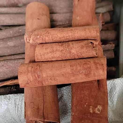 平南县刮皮肉桂段