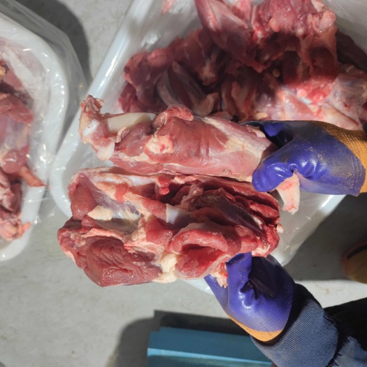 四子王旗内蒙古整切国产牛肉牛腱子