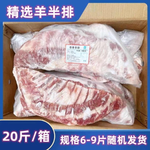 郑州羔羊半排，量大价优，欢迎下单