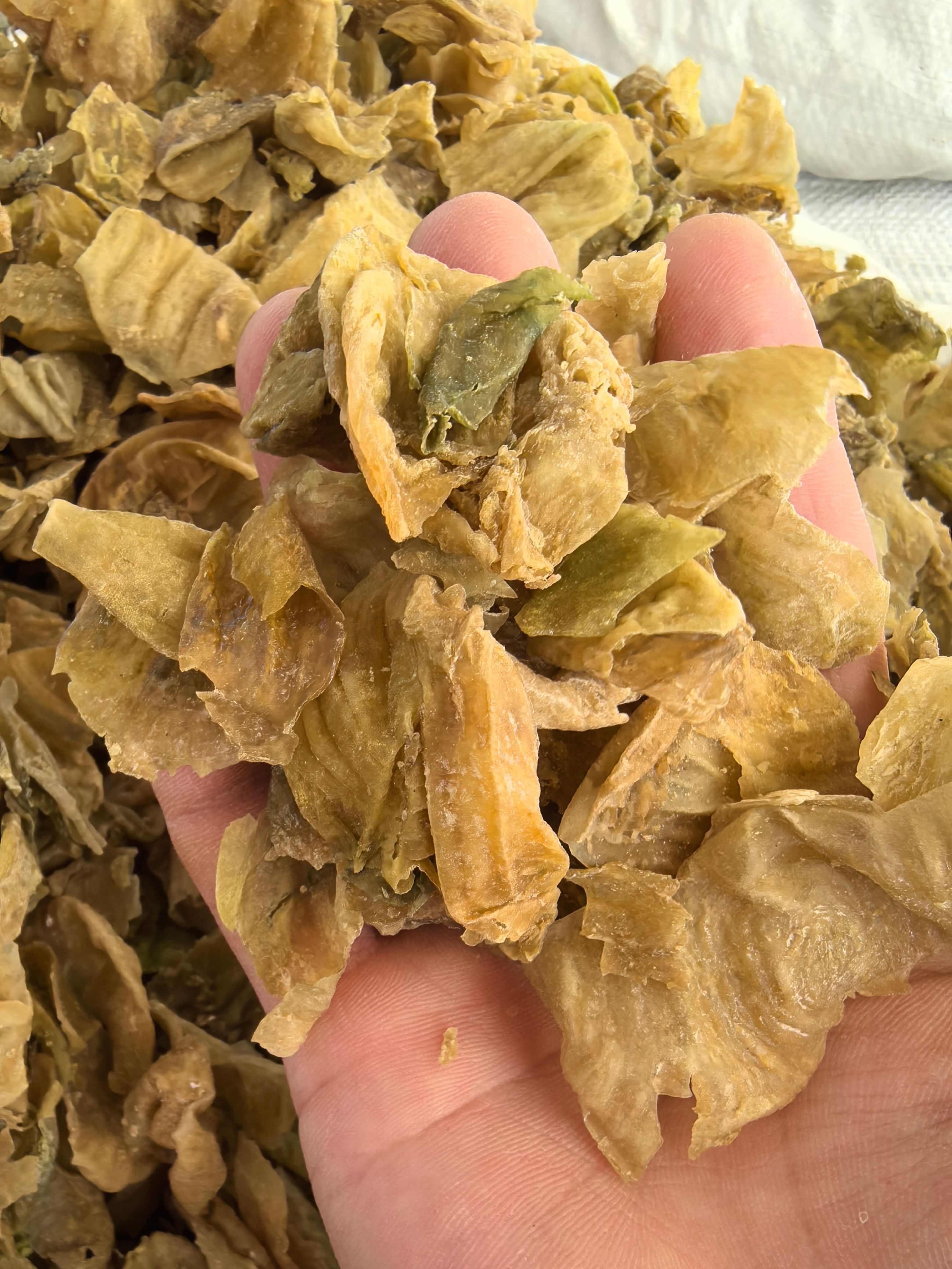 鸡内金生鸡内金水洗厚皮炒熟鸡内金无硫鸡内金