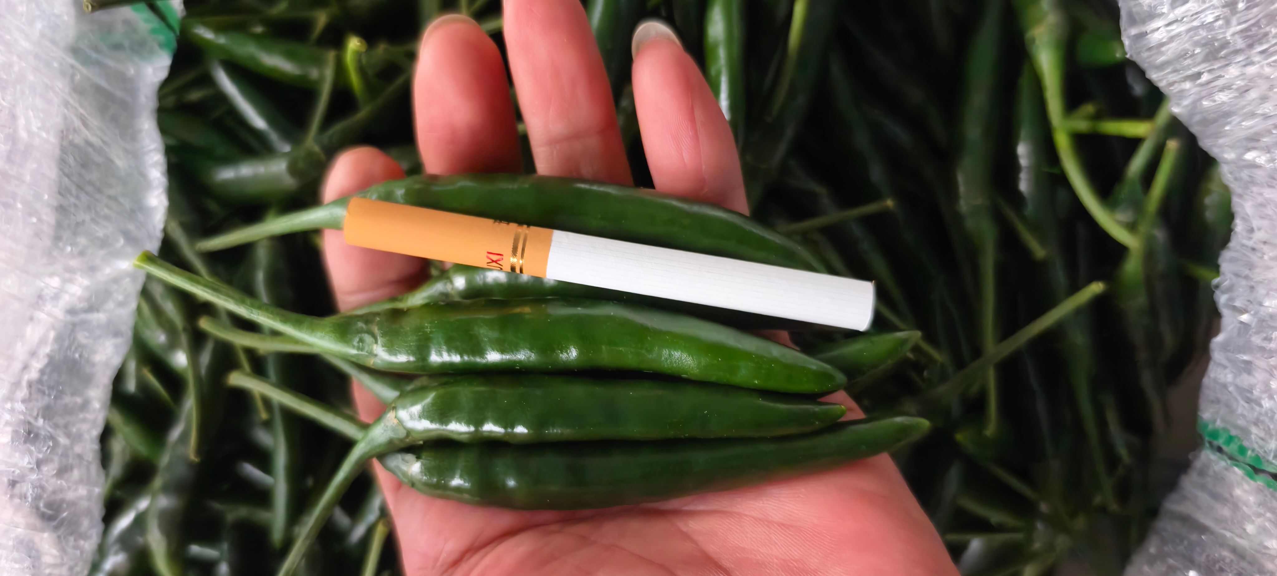 青小米辣大量上市，质量保证，全国发货。