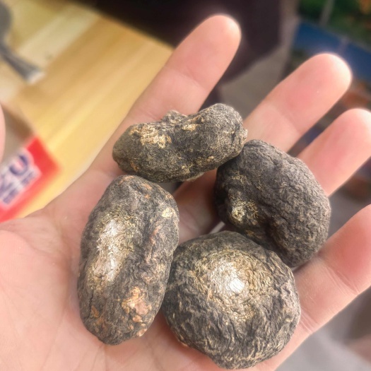 黑玛咖