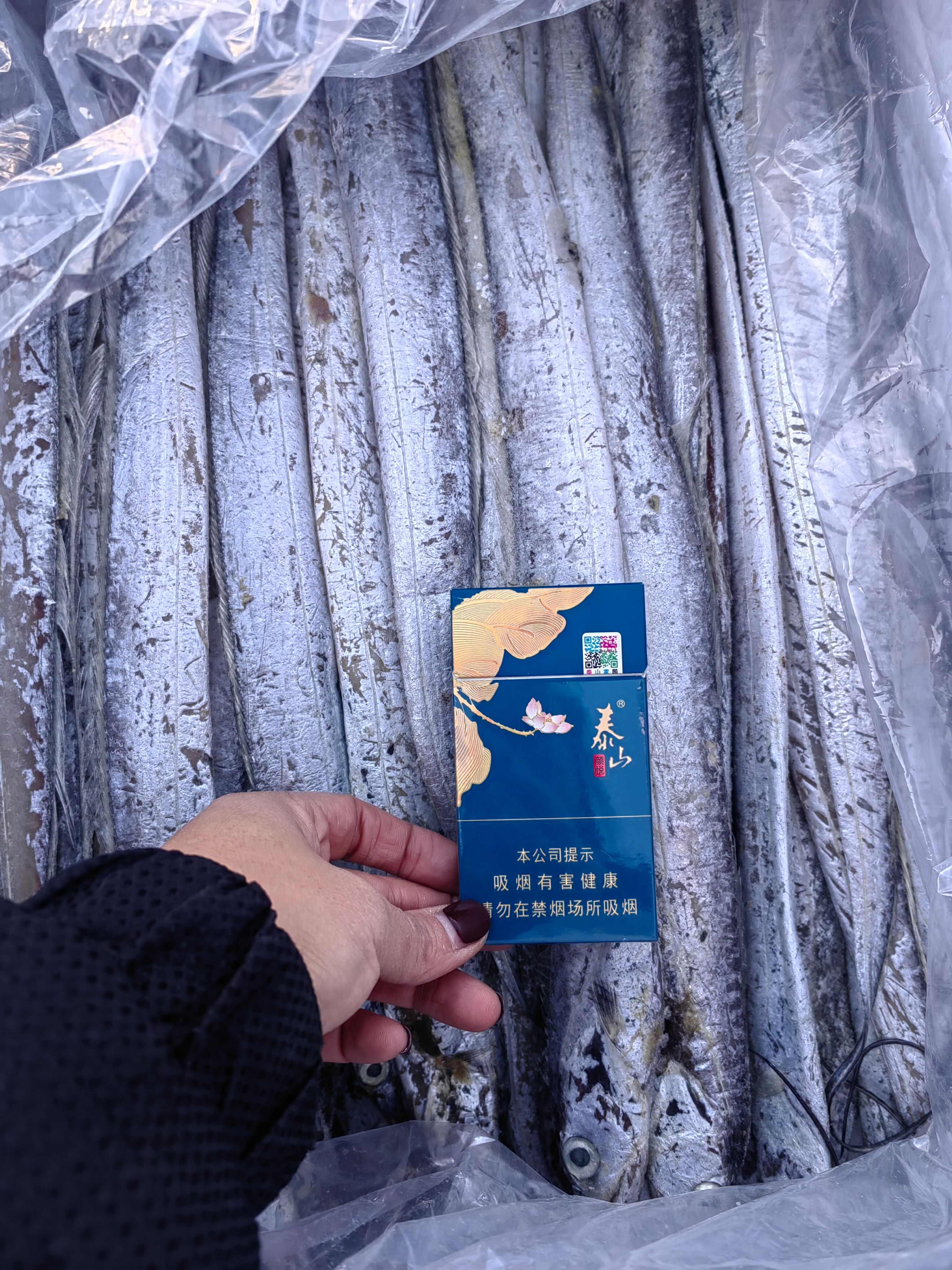 国产干冰带鱼，没有冰衣，一箱净重16斤，规格型号齐全
