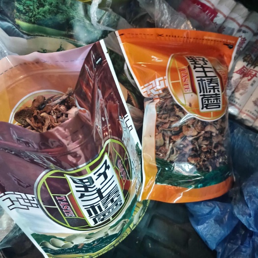尚志市纯正野生东北榛蘑，小鸡炖蘑菇手选当地野生采摘晾晒