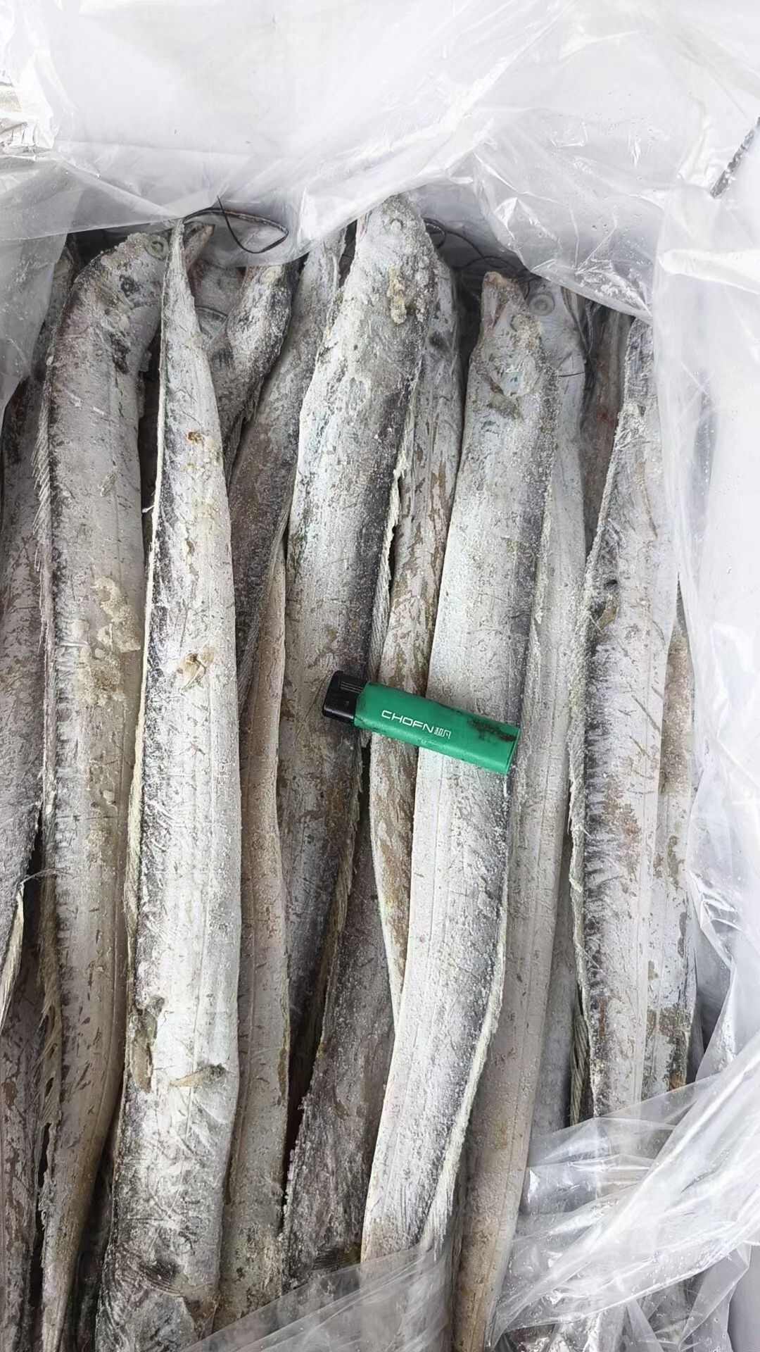 国产干冰带鱼，没有冰衣，一箱净重16斤，规格型号齐全
