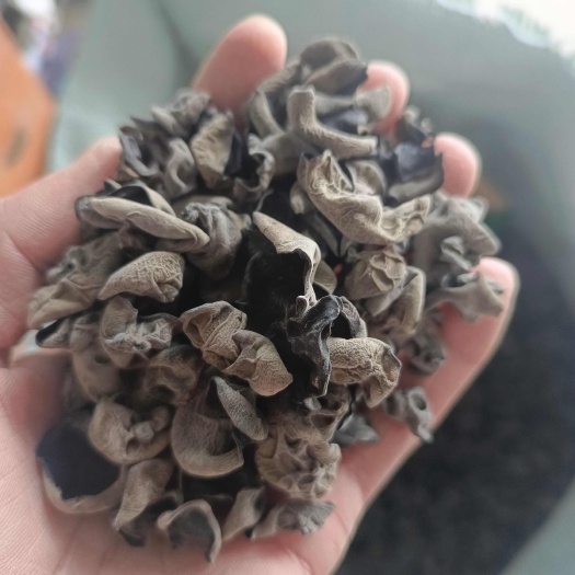 甄选东北特产黑木耳一斤秋耳厚实纯东北特产手选木耳