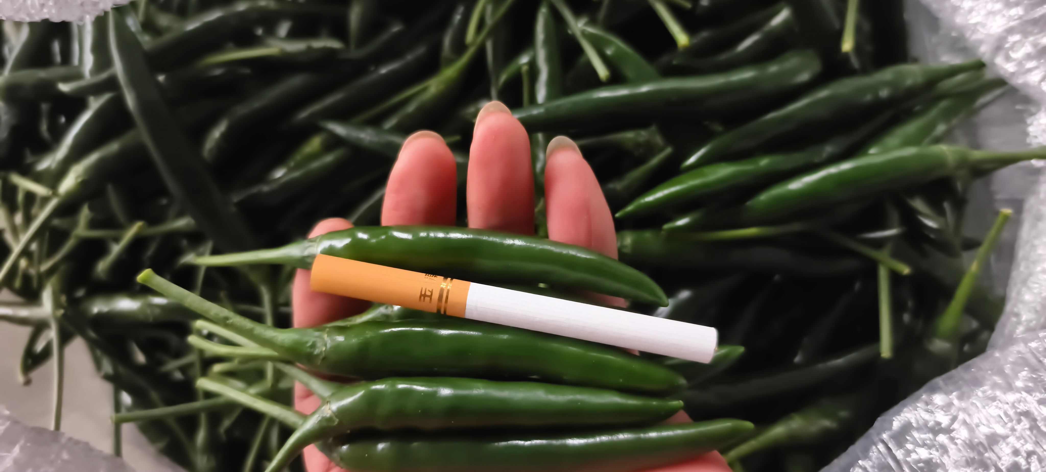 青小米辣大量上市，质量保证，全国发货。