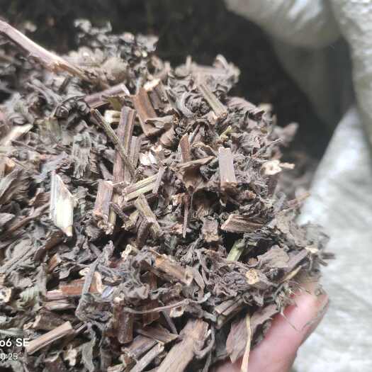 威县薄荷段！无农药，无硫。