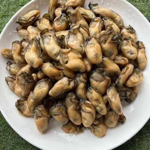 徐闻县广东省徐闻县优质三倍体蚝肉蚝干 加工精选 新鲜速发