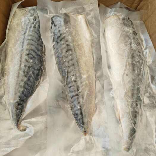 深圳挪威原料盐渍背开青花鱼 青花鱼片