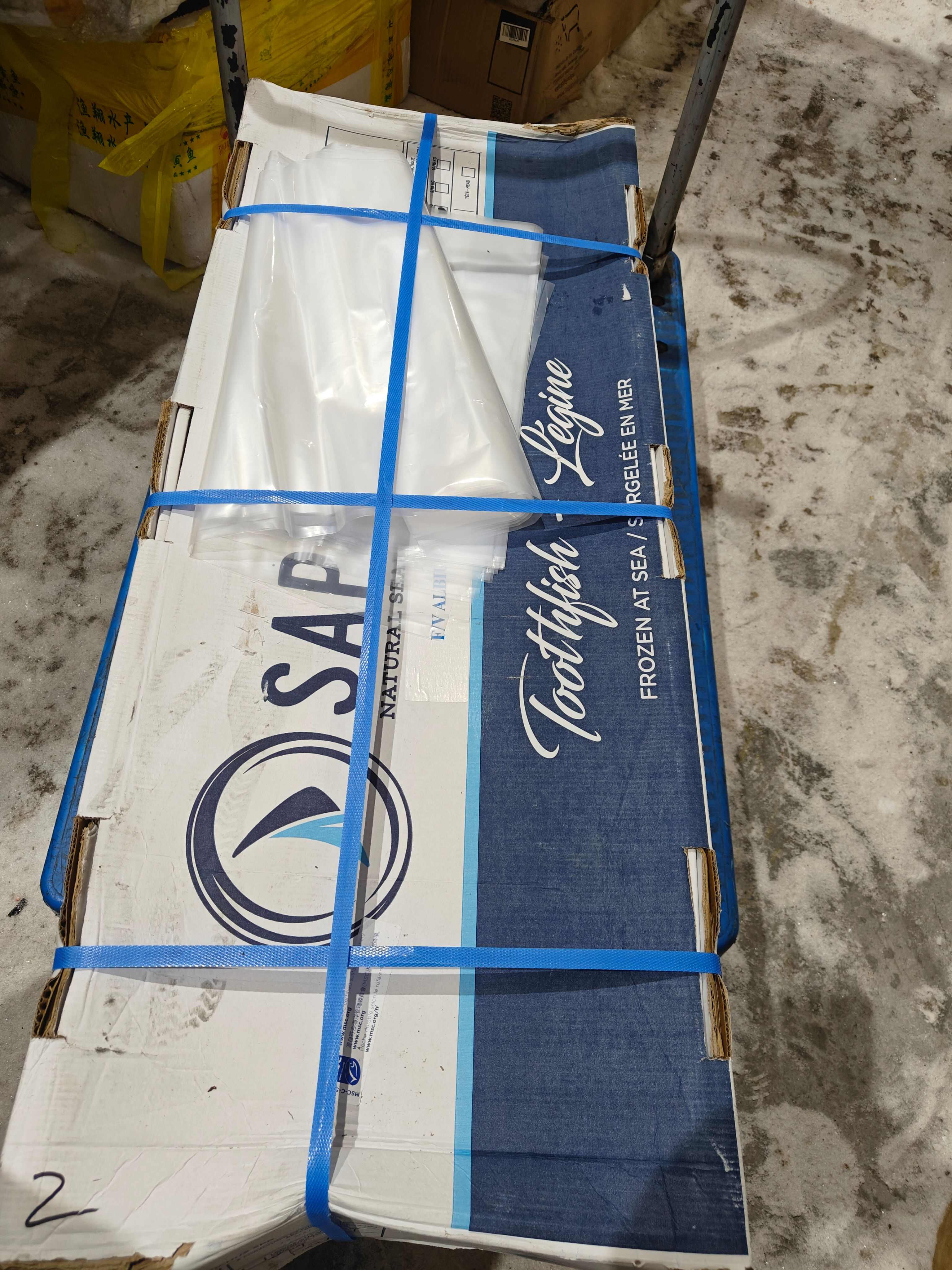 法国澳洲银鳕鱼犬牙鱼