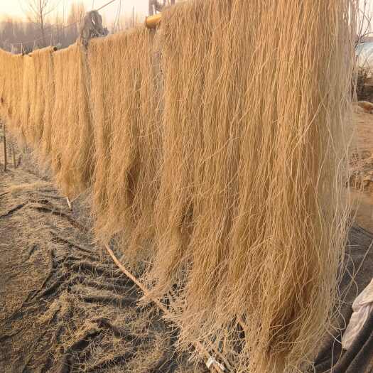 内乡县河南南阳内乡红薯粉条纯正美味传统工艺非转基因食品