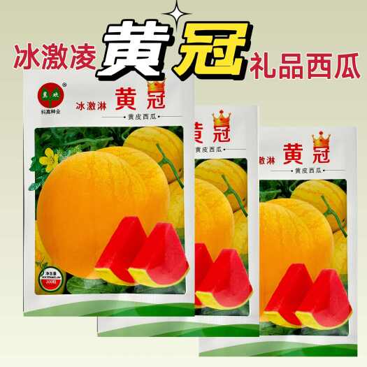 沭阳县冰激凌黄冠礼品西瓜种子早熟杂交大果花皮黄皮红瓤西瓜种籽糖度高