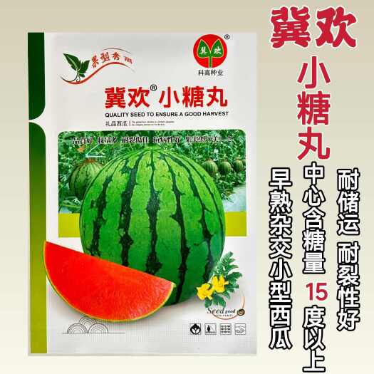 L600礼品西瓜种子吊瓜超甜早熟耐裂薄皮红瓤含糖量高西瓜种子