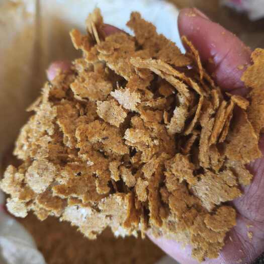 博野县新榨豆饼