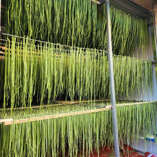 大理市云南贡菜，贡菜各规格级别，本基地级别划分非常细致